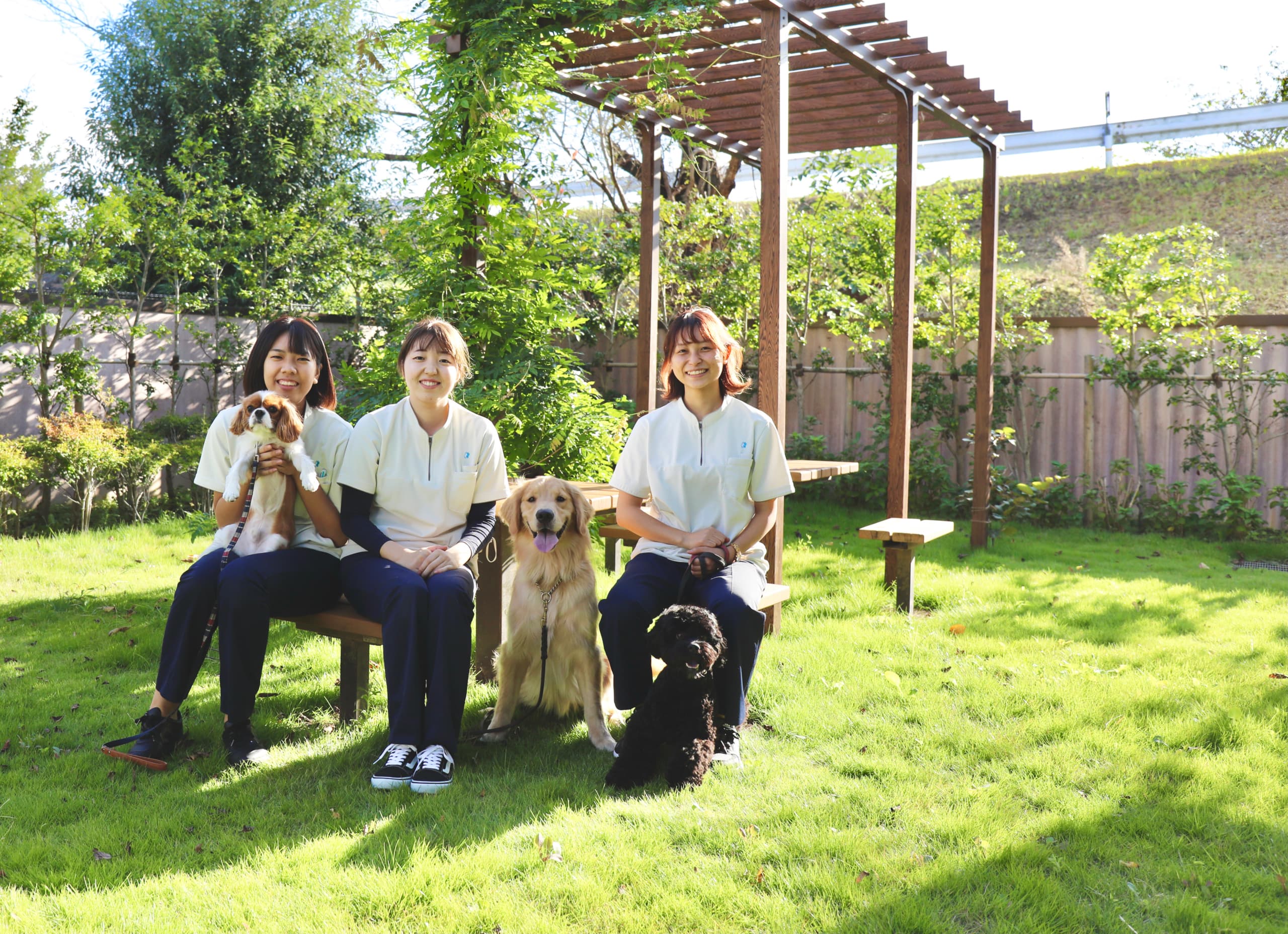 グループ介護施設で活躍するドッグトレーナー 犬に何かをしてあげるのではなく、犬と共に何かをしていきたい/ドッグトレーナー 座談会